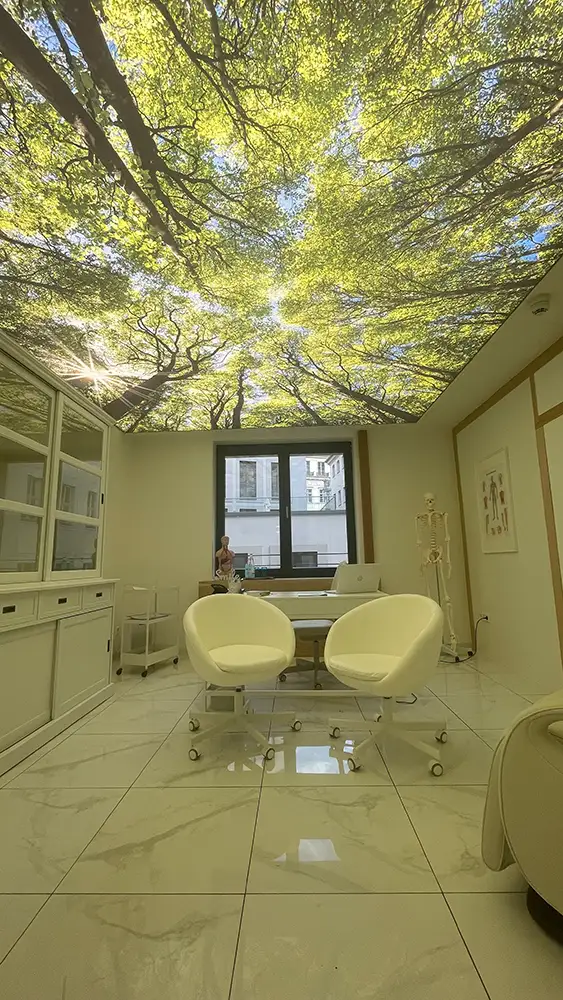 Bedruckte Lichtdecke Baum